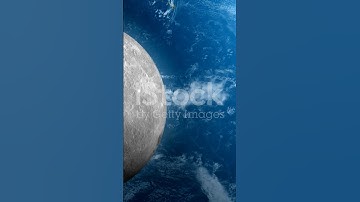 Gravity Explained Simply: Apples to Einstein!