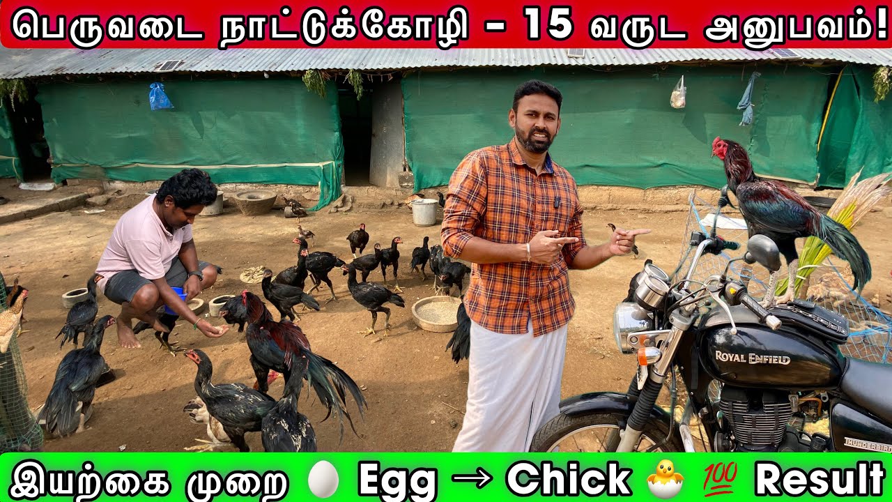 15 வருட அனுபவம் 