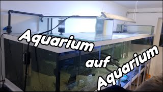 Aquarium auf Aquarium