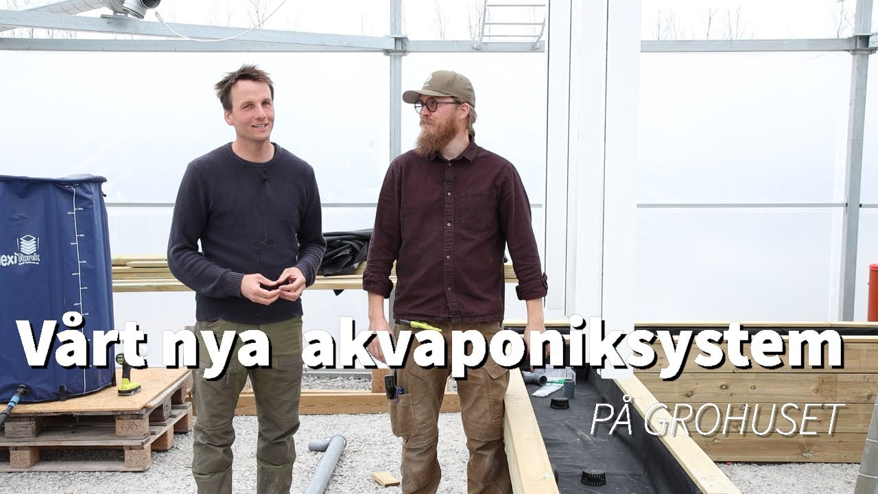 Vårt nya akvaponiksystem på Grohuset - Hemmaodlat