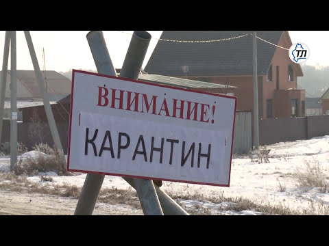 Видео: ДНК-вакцинация от рака простаты: ключевые понятия и соображения