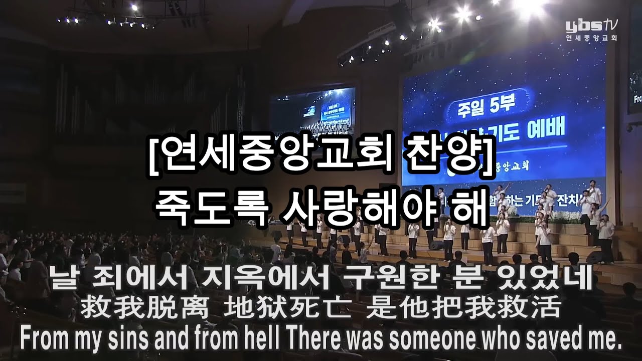 [연세중앙교회 찬양] 죽도록 사랑해야 해 (5시간 반복재생)