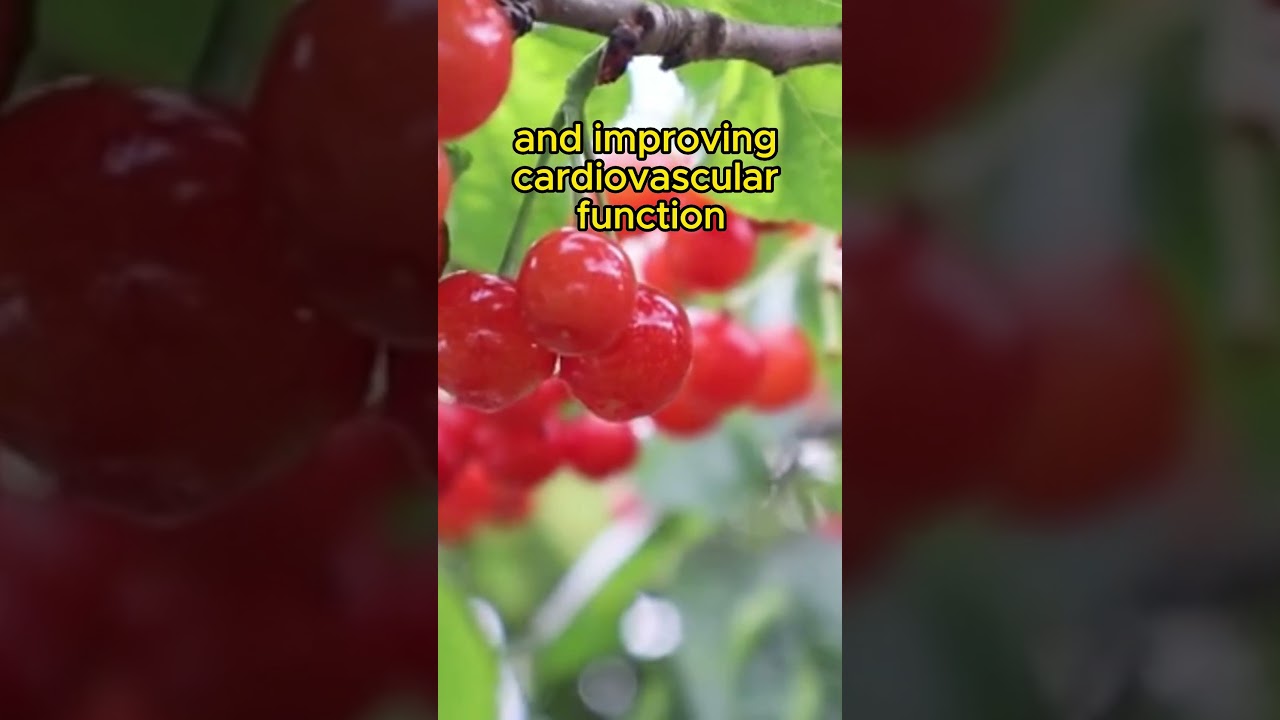 Cherry Lowers Blood Pressure