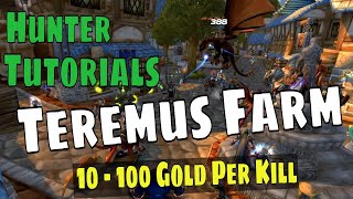 World of Warcraft Classic 2020 Hunter Tutorial Solo Farm Teremus the Devourer