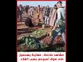 مشاهد صادمة من المغرب مواطنون يهجمون على سوق أسبوعي بسبب غلاء الأسعار