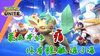 #8寶可夢大集結《Pokémon UNITE》葉衣布篇 有體會過葉衣布的痛嗎