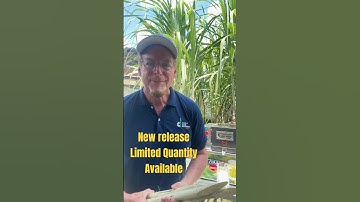 TT750D Pro Newest 2HP Sugarcane Juicer Machine 2025 Model Preview #shorts #canemachine #canejuice