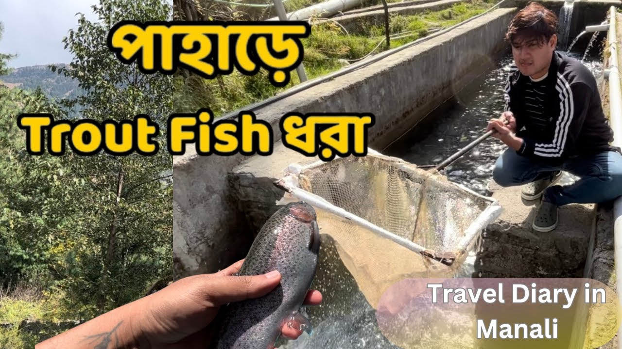 Many Trout Fish Farm Closed after Flood in Manali Cold Water fish Daily Life Vlog YouTube
