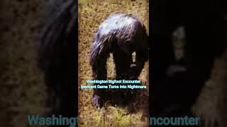 Innocent game turns into nightmare
