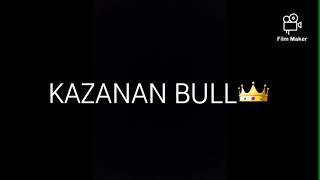 Shelly Vs Bull Yarışma Kim Kazandı?