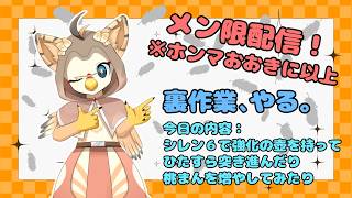 【ケモノ系VTuber】裏作業やるで！ #5 ＠風来のシレン６_37'【メン限配信（ホンマおおきに以上）】