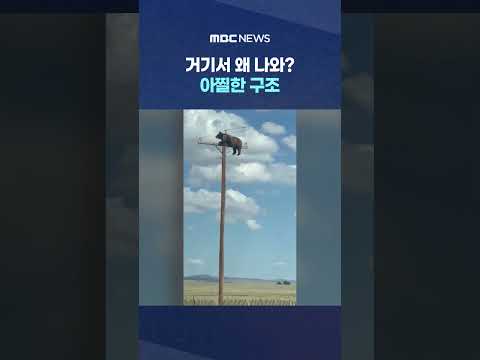 거기서 왜 나와? 아찔한 구조 #Shorts (MBC뉴스)