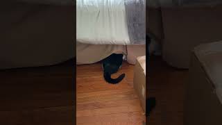 IMG 2107