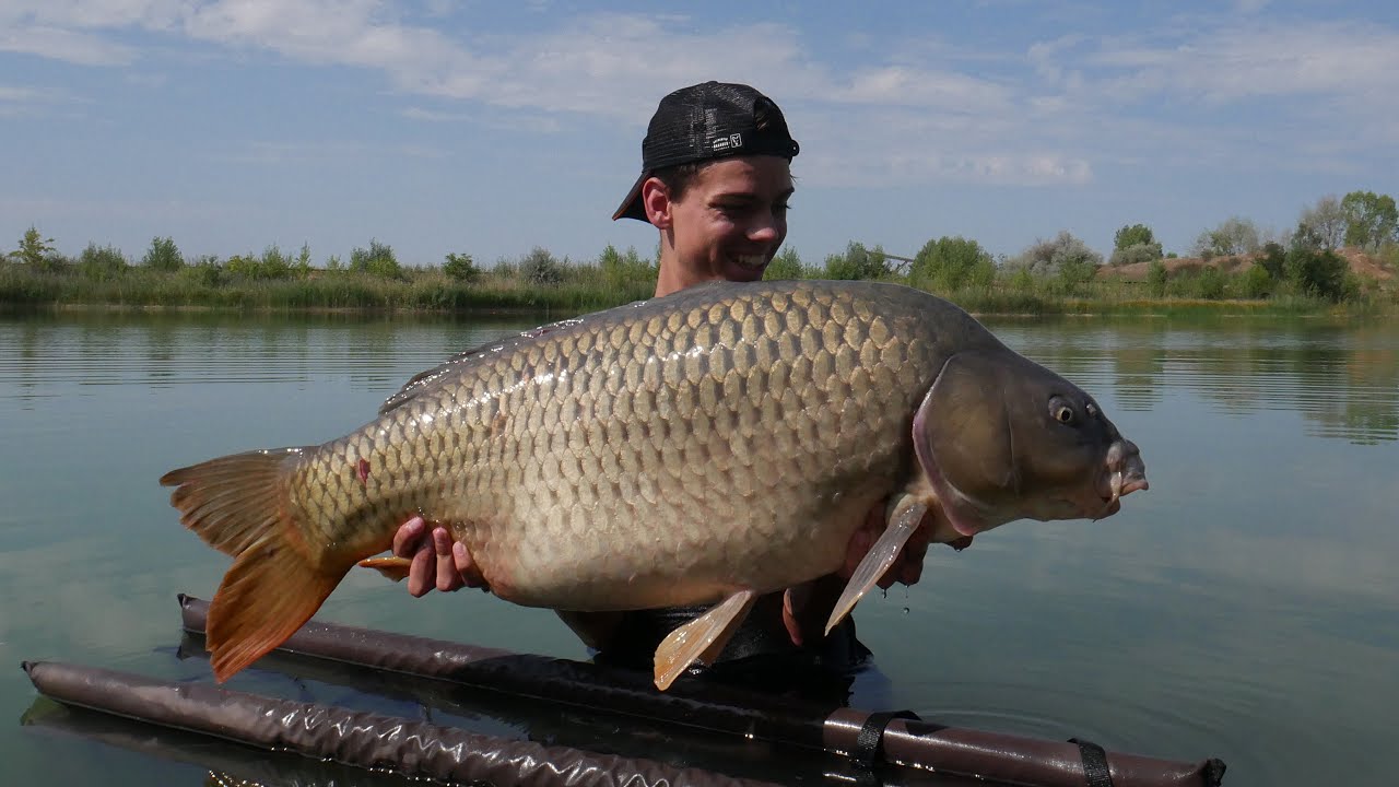Egy TITKOS BÁNYATÓ óriásai