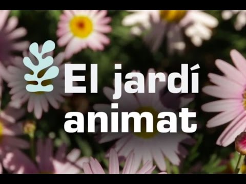 Vídeo: Malalties De Les Plantes Del Jardí