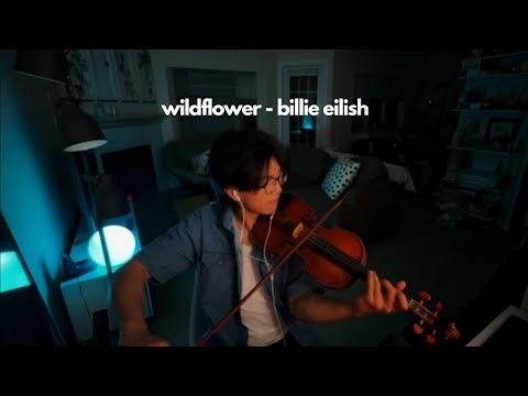 Wildflower Billie Eilish Violin Cover