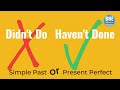 Didn't vs Haven't | What is the difference and how to use them both correctly and fluently