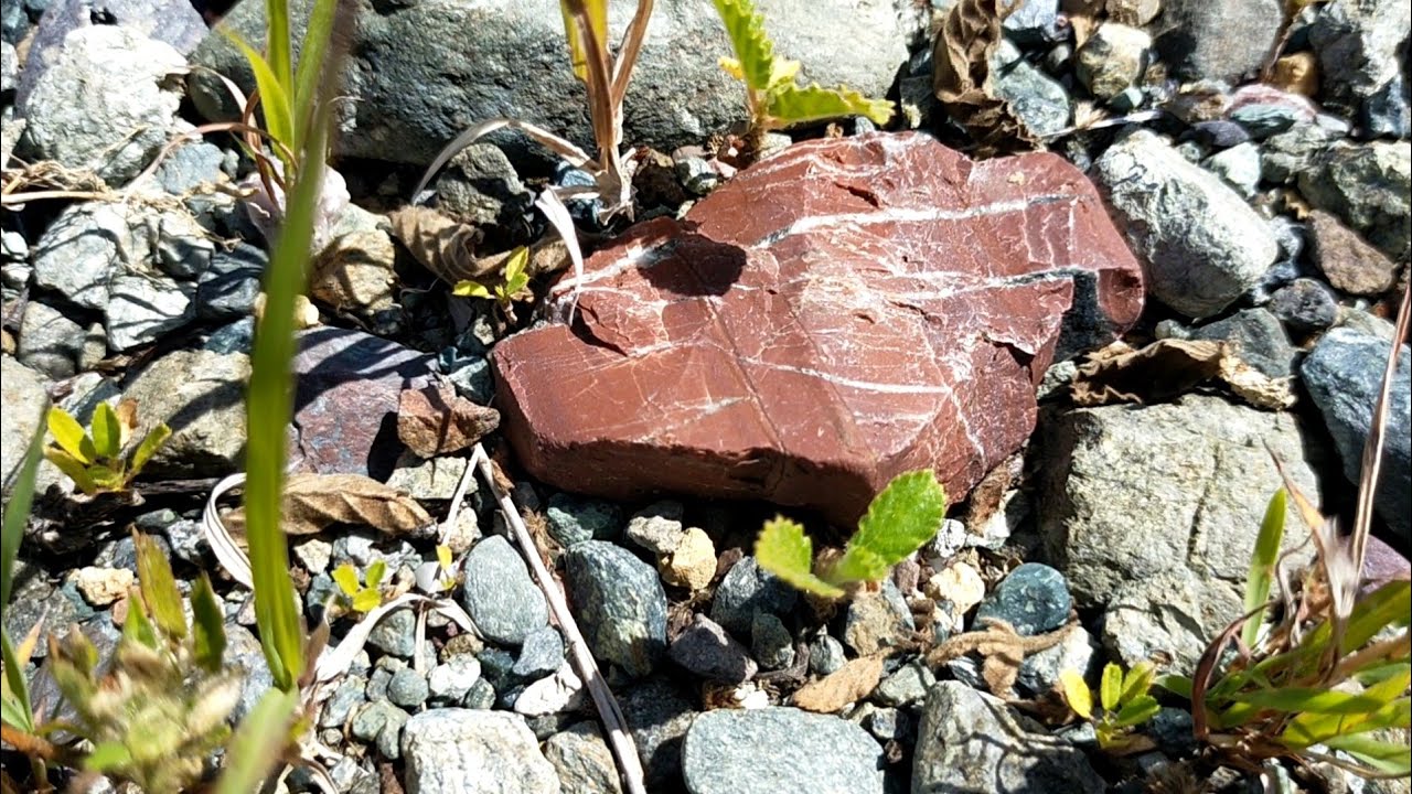 Blood Stone /Jasper Hunting Sa tabi Ng kalsada.
