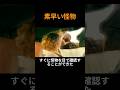 素早い怪物 #映画 #映画紹介 #movie #shorts #クワイエットプレイス
