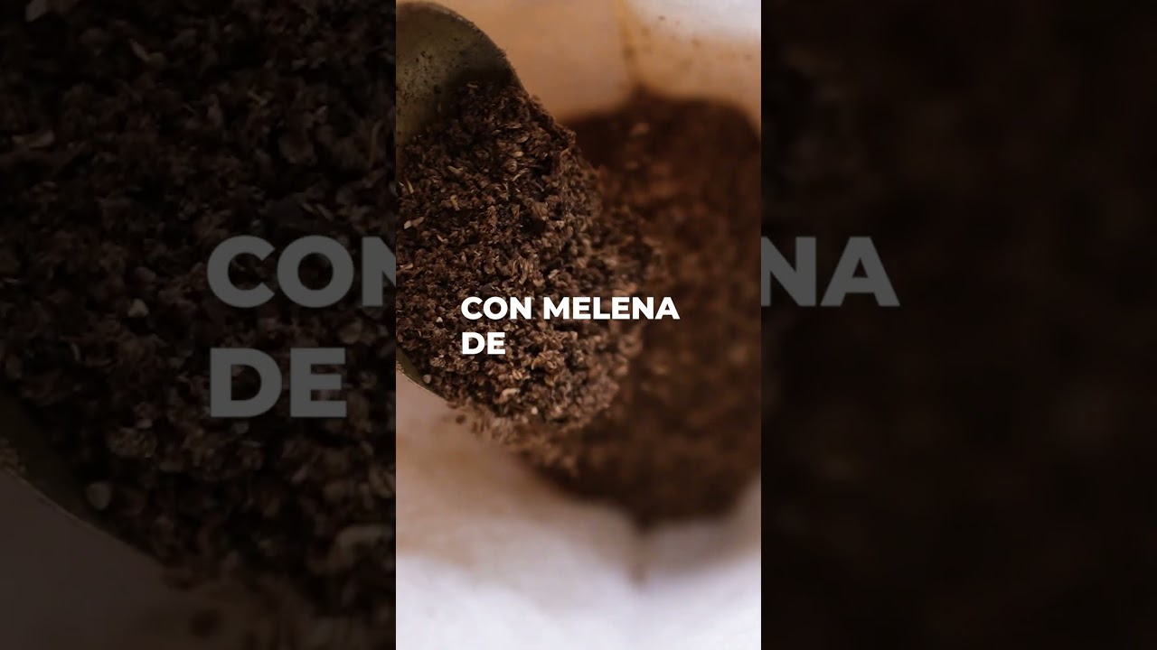 Lion's Mane Coffee - Café tostado con Melena de León