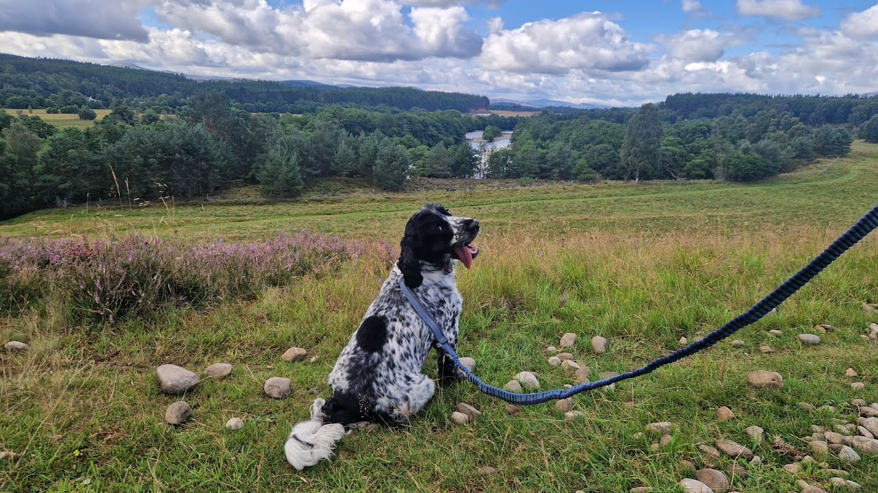 Cycle from Dalraddy to Uath Lochans, July 2025