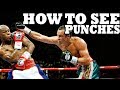 How to See a Punch Coming in Boxing, MMA, or Street Fight