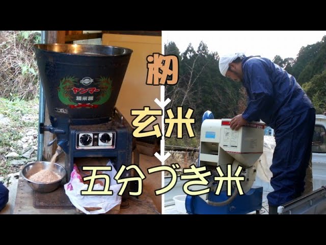 RASUKARU　25キロを精米 sddefault.jpg
