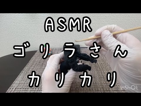 【ASMR/音フェチ】ゴリラさんをカリカリ【囁き声】