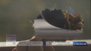 WETM 18 News Special Report: Legalizing Marijuana - The Highs and Lows segment 1
