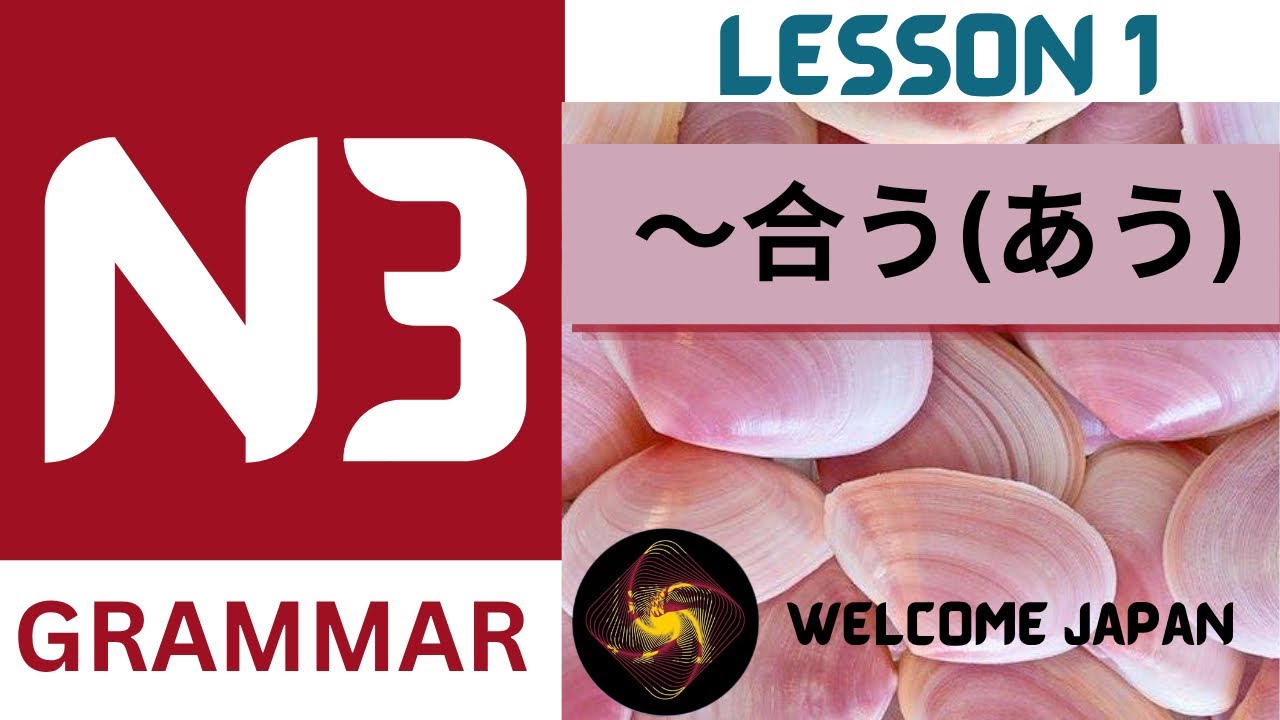 N3 Grammar Lesson-1 /〜あう