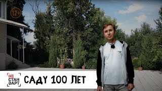 видео: Саду 100 лет /  Нестандарт / Серия 11 картинка: Саду 100 лет /  Нестандарт / Серия 11