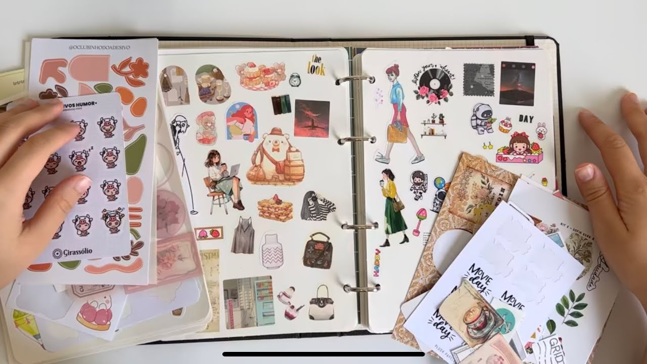 Organizando adesivos no caderno de folhas reposicionáveis + bate papo
