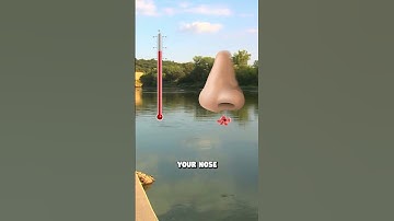 This Amoeba Eats your Brain - Naegleria Fowleri