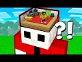 HO COSTRUITO UNA CASA SEGRETA DENTRO IL MIO AMICO SU MINECRAFT