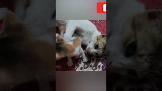 #MOTHER DAUGHTER# #CARRING BABY#  😺 so, #adorable moment#🥰😘