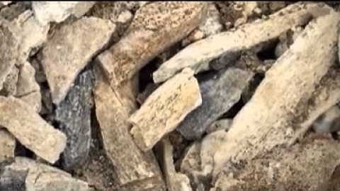 Interchange 3 (13. Stonehenge)