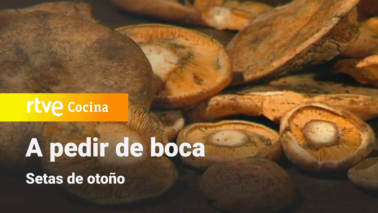 A pedir de boca: Setas de otoño | RTVE Cocina