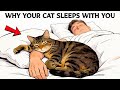 If Your Cat Sleeps With You, They’re Trying to Tell You This!