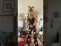 I GOT YOUR BACK