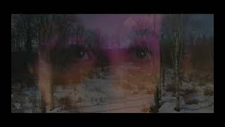 Of The Trees - Spanish Moss | Music Video