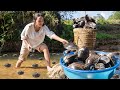 Harvesting giant clam harvesting goose eggsgo to market sell  farm life cooking  gardening