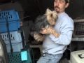 Jan 10 99 Dog Puppy Mill Rescue