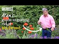 Alans guide to getting rid of bindweed without using chemicals