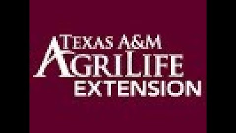 Solving Wine Quality Problems Using Systematic Methods