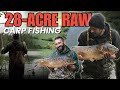 Raw carp fishing  carp fishing in yorkshire  day ticket fishing  wintersett fishery  gocatch