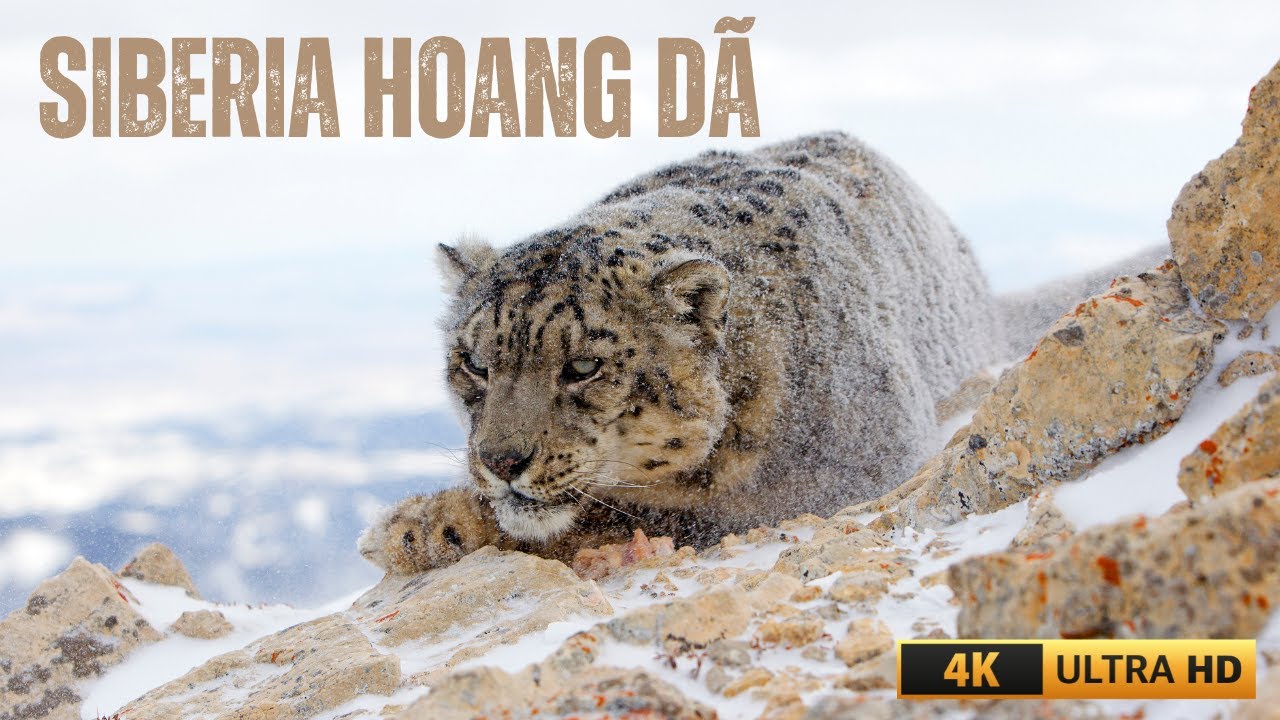 VÙNG ĐẤT HUYỀN THOẠI SIBERIA - VIDEO 4K UTRAL HD