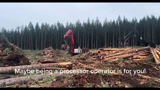 Logging Processor Pro: Epic Timber Harvest with a Waratah Head