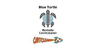 Blue Turtle