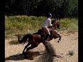 Endurance horseback ride training. Trail ride for 20 miles as fast as possible.