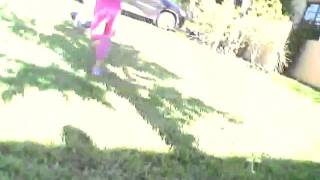 Capture 20101204